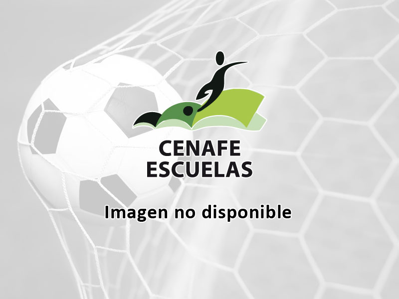 Cenafe Escuelas L&DiacriticalAcute;Hospitalet de Llobregat